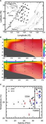 Differences in the Composition of Abundant Marine Picoeukaryotes in the Marginal Sea Derived from Flooding